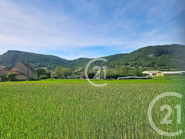 maison à vendre - 3 pièces - 68.0 m2 - BENONCES - 01 - RHONE-ALPES - Century 21 Lagnieu Immobilier
