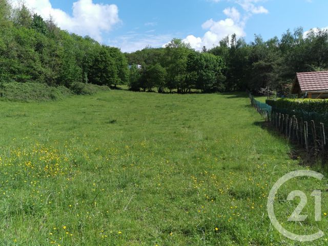 terrain à vendre - 6800.0 m2 - NEUVILLE SUR AIN - 01 - RHONE-ALPES - Century 21 Lagnieu Immobilier terrain à vendre - 6800.0 m2 - NEUVILLE SUR AIN - 01 - RHONE-ALPES - Century 21 Lagnieu Immobilier