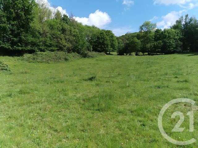 terrain à vendre - 6800.0 m2 - NEUVILLE SUR AIN - 01 - RHONE-ALPES - Century 21 Lagnieu Immobilier terrain à vendre - 6800.0 m2 - NEUVILLE SUR AIN - 01 - RHONE-ALPES - Century 21 Lagnieu Immobilier