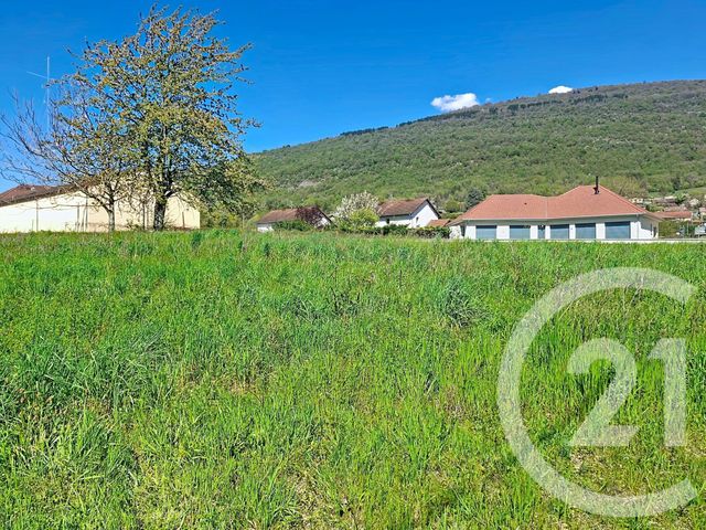 Terrain à vendre LHUIS